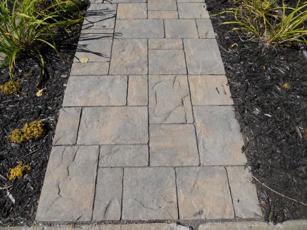 Stamped Concrete Staining in San Rafael
