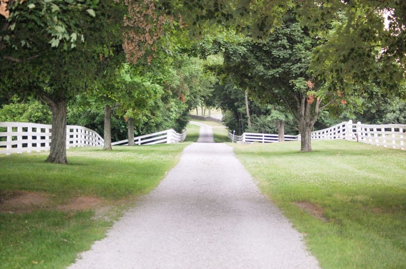 Stamped Driveway Installation